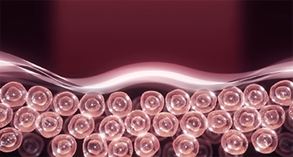 콜라겐 재생 촉진